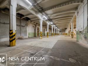 Pronájem výrobních prostor, Hostinné, Nádražní, 6000 m2