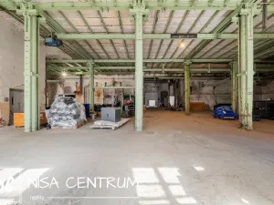 Pronájem výrobních prostor, Hostinné, Nádražní, 6000 m2