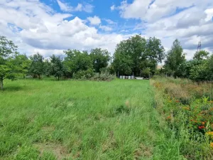 Prodej pozemku pro bydlení, Rešice, 3572 m2