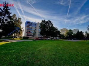 Pronájem bytu 3+1, Hradec Králové, Pod Strání, 74 m2