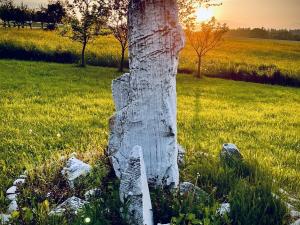 Prodej rodinného domu, Uhelná Příbram - Pukšice, 300 m2