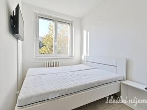Pronájem bytu 2+kk, Brno, Bořetická, 40 m2