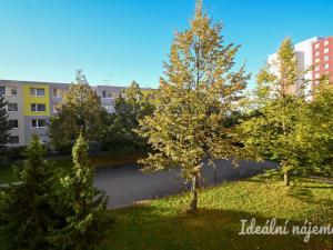 Pronájem bytu 2+kk, Brno, Bořetická, 40 m2