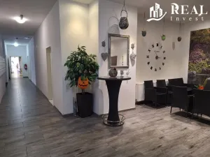 Pronájem bytu 1+kk, Meziboří, nám. 8. května, 30 m2