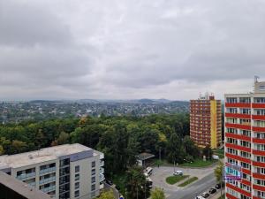 Prodej bytu 2+1, Plzeň, Heyrovského, 66 m2