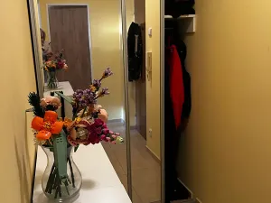 Pronájem bytu 1+1, Zlín, Santražiny, 35 m2