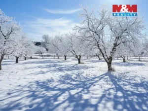 Prodej pozemku pro bydlení, Tismice, 600 m2