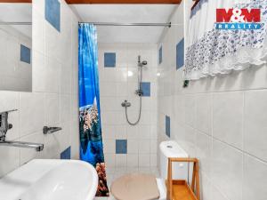 Prodej chaty, Pastviny, 181 m2