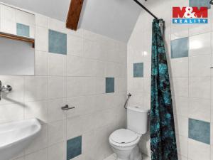 Prodej chaty, Pastviny, 181 m2