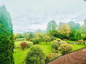 Prodej rodinného domu, Chudenín - Uhliště, 300 m2