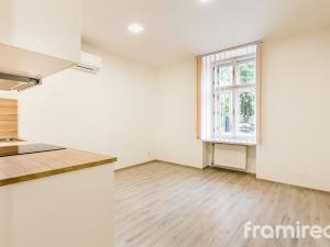 Pronájem bytu 1+kk, Brno, Hlinky, 20 m2