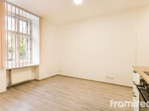 Pronájem bytu 1+kk, Brno, Hlinky, 20 m2