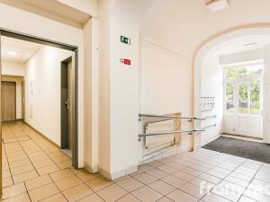 Pronájem bytu 1+kk, Brno, Hlinky, 20 m2