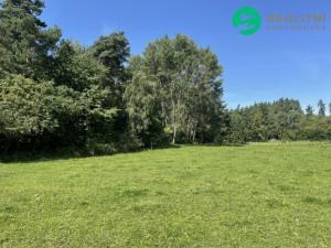 Prodej pozemku pro bydlení, Kolinec - Sluhov, 3805 m2