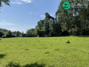 Prodej pozemku pro bydlení, Kolinec - Sluhov, 3805 m2