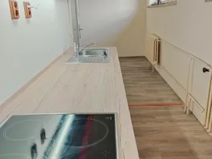 Pronájem bytu 2+kk, Kozojedy, 46 m2