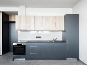 Pronájem bytu 1+kk, Praha - Čakovice, Schoellerova, 49 m2