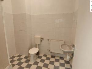 Pronájem bytu 1+kk, Cheb, Joštova, 32 m2