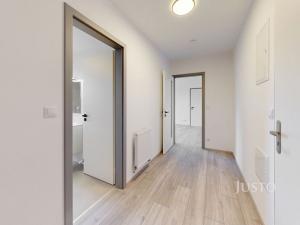 Pronájem bytu 2+kk, České Budějovice, Ant. Janouška, 48 m2