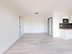 Pronájem bytu 2+kk, České Budějovice, Ant. Janouška, 48 m2