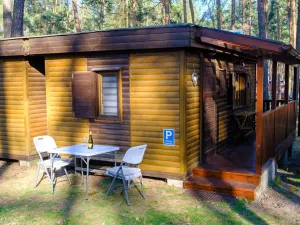 Prodej chaty, Doksy - Staré Splavy, Pod Borným, 27 m2