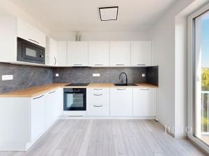 Pronájem bytu 2+kk, České Budějovice - České Budějovice 6, Ant. Janouška, 47 m2