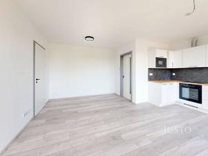Pronájem bytu 2+kk, České Budějovice - České Budějovice 6, Ant. Janouška, 47 m2