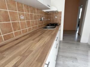 Pronájem bytu 3+1, Ústí nad Labem - Střekov, Tolstého, 63 m2