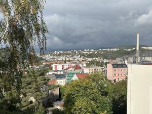 Pronájem bytu 3+1, Ústí nad Labem - Střekov, Tolstého, 63 m2