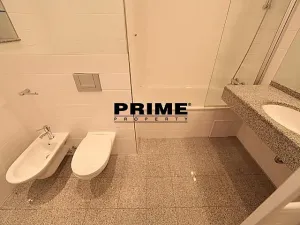 Pronájem bytu 4+kk, Praha - Vinohrady, Na Švihance, 146 m2