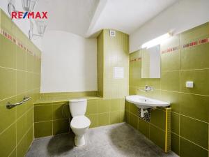 Prodej apartmánu, Všeruby, 952 m2