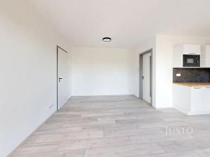 Pronájem bytu 2+kk, České Budějovice, Ant. Janouška, 48 m2