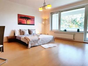 Prodej bytu 1+kk, Brno, Šemberova, 48 m2