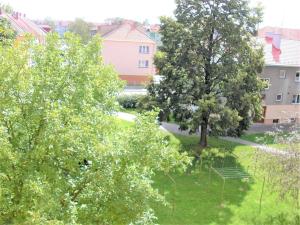 Pronájem bytu 1+1, České Budějovice, Plzeňská, 47 m2
