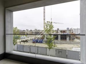 Pronájem bytu 1+kk, Praha - Žižkov, Tetauerova, 30 m2