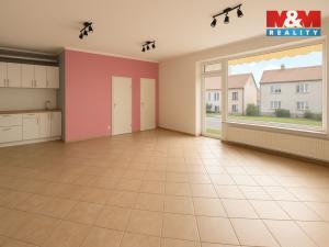 Prodej rodinného domu, České Budějovice - České Budějovice 5, Ledenická, 290 m2