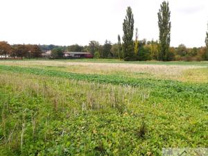 Prodej pozemku pro bydlení, Kolešovice, 985 m2