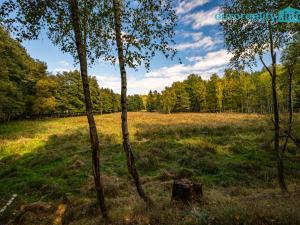 Prodej komerčního pozemku, Cheb, 86573 m2