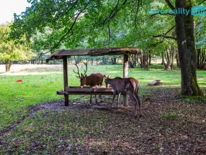 Prodej komerčního pozemku, Cheb, 86573 m2