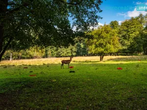 Prodej komerčního pozemku, Cheb, 86573 m2