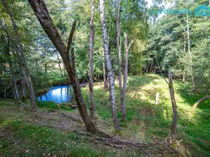 Prodej komerčního pozemku, Cheb, 86573 m2
