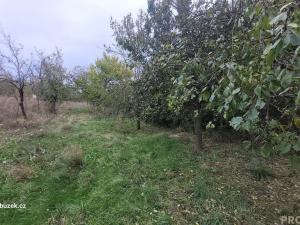Prodej zahrady, Bohdalice-Pavlovice, 461 m2