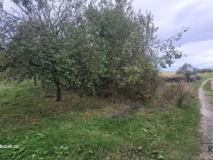 Prodej zahrady, Bohdalice-Pavlovice, 461 m2