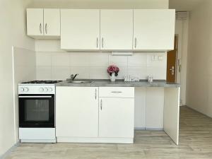 Pronájem bytu 1+1, Litvínov, Mládežnická, 38 m2