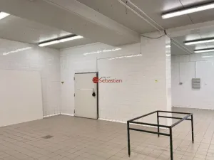 Pronájem skladu, Jičín - Valdické Předměstí, Dělnická, 178 m2