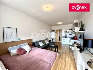 Pronájem bytu 1+kk, Zlín, Podlesí II, 33 m2