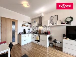 Pronájem bytu 1+kk, Zlín, Podlesí II, 33 m2