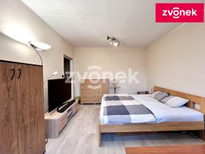 Pronájem bytu 1+1, Zlín - Příluky, Zborovská, 31 m2