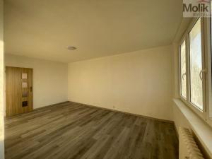 Pronájem bytu 3+1, Litvínov - Hamr, Přátelství, 62 m2