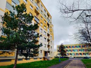 Prodej bytu 2+kk, Teplice - Trnovany, Fibichova, 43 m2